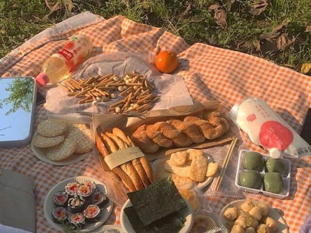 Picnic