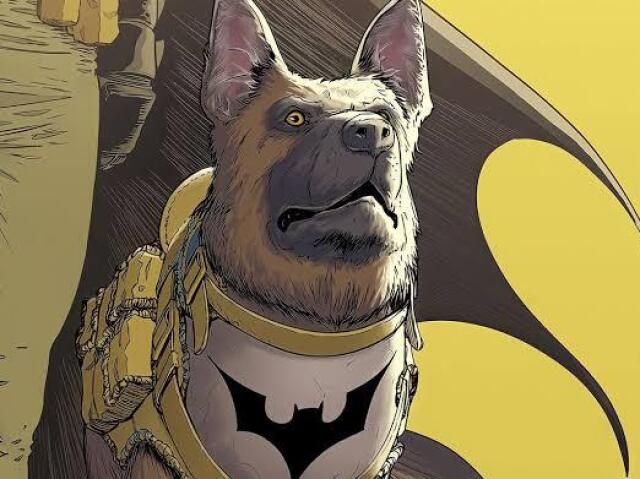 Você é o Ace, o Batcão!