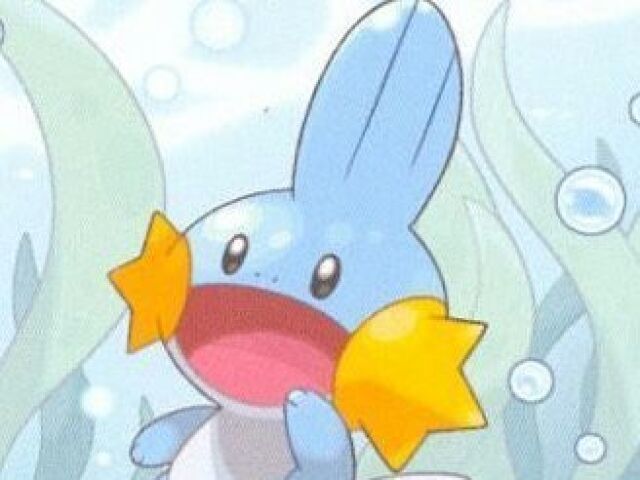 MUDKIP