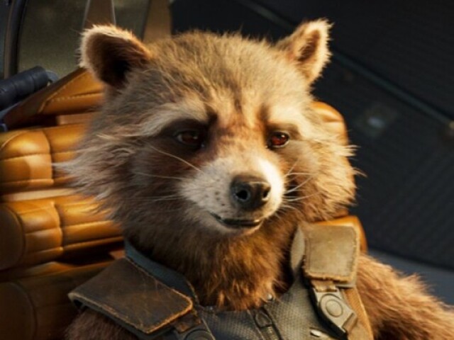 Rocket Racoon