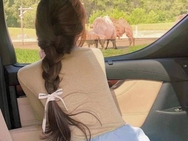 đEsseđ