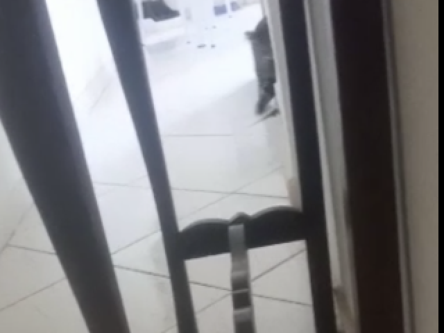 a gata da lais que gosta de chupar chupeta e leva rato pra dentro de casa e deixou ela trancada no quarto por exatamente duas horas.