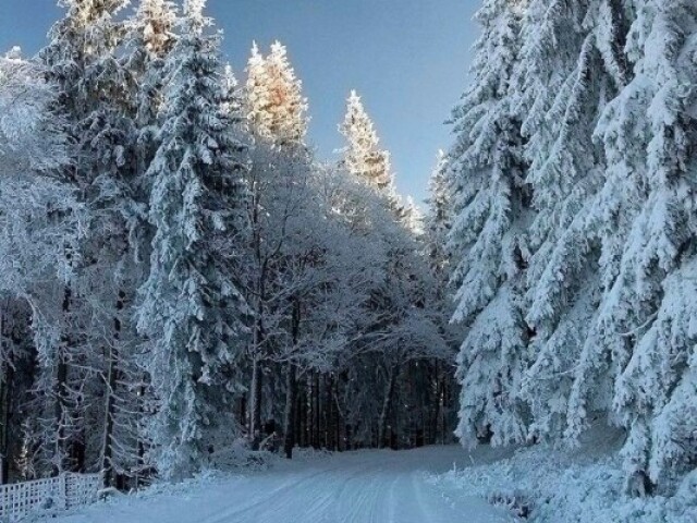 Inverno e primavera