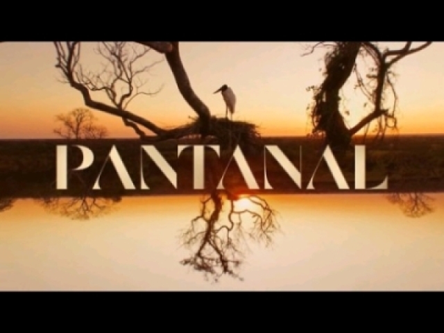 Pantanal - VocĂȘ sabe tudo sobre essa novela? đž