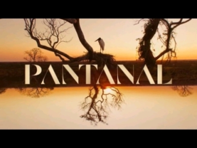 Pantanal - Você sabe tudo sobre essa novela? 😸