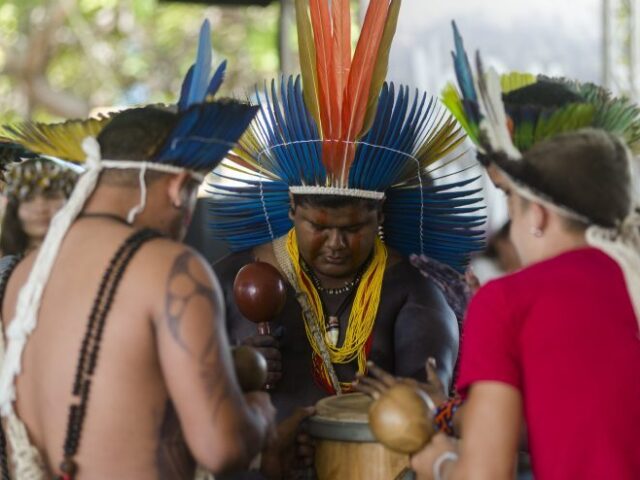 São os descendentes e remanescentes de comunidades formadas por escravizados fugitivos. Atualmente estas comunidades tem sua existência totalmente preservada e apoiada entre o meio agrícola do Brasil.