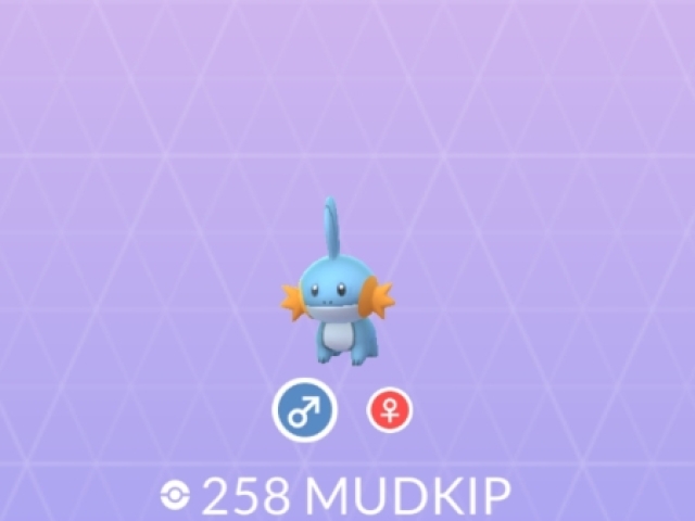 Mudkip 💦