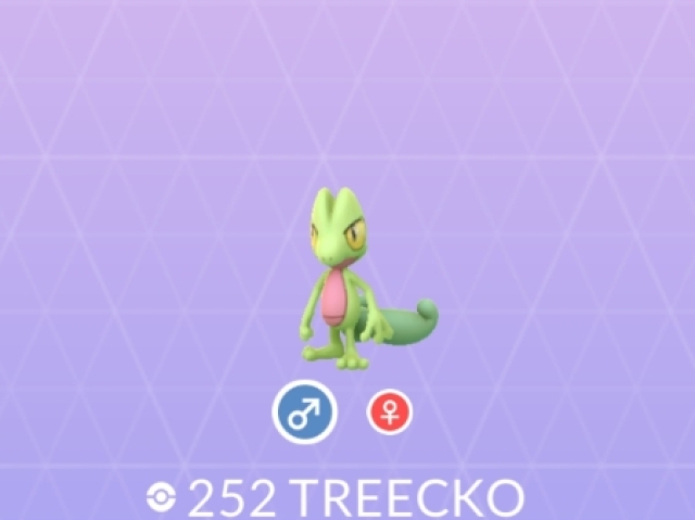 Treecko🥦