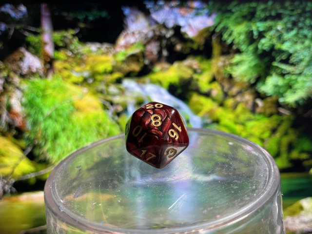 d20