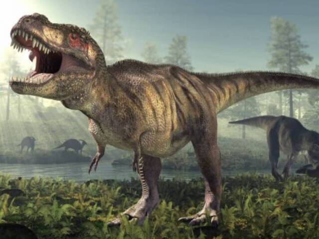 Tiranossauro Rex