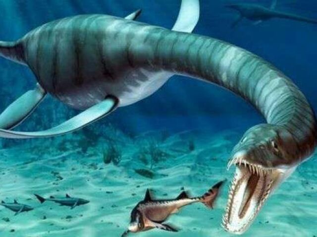 Plesiosauro