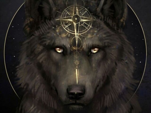 Lobo