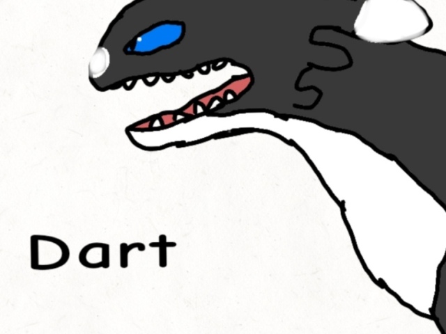 Dart