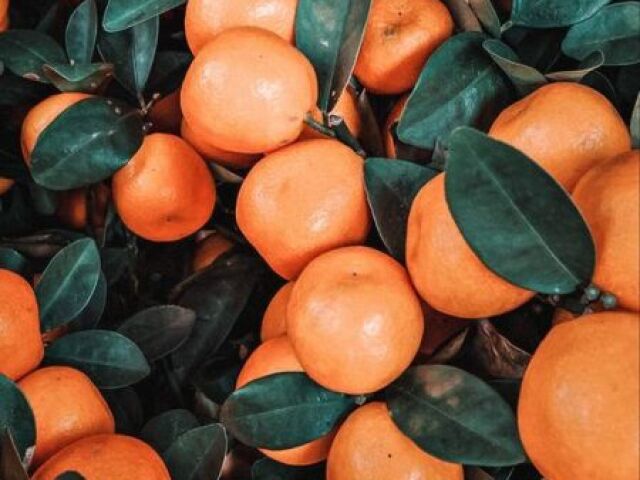 Laranja 🍊