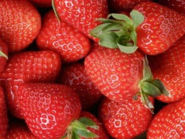 Morango 🍓