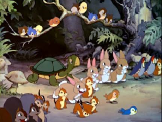 Animais da floresta 🐇🐢🐦🐿️