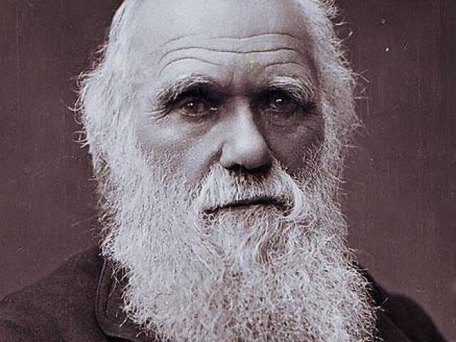 Charles darwin