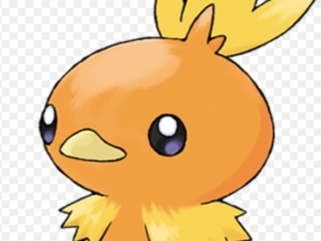 Torchic