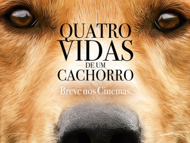 Quatro vidas de um cachorro