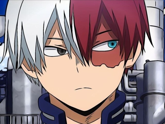 Shoto Todoroki