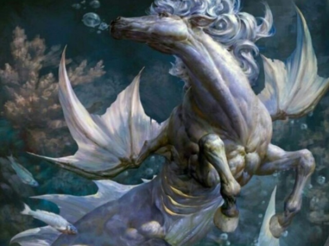 Hippocampus