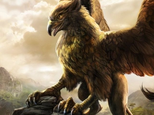 Griffo