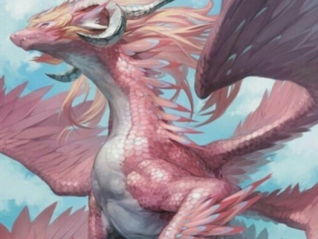 Dragão