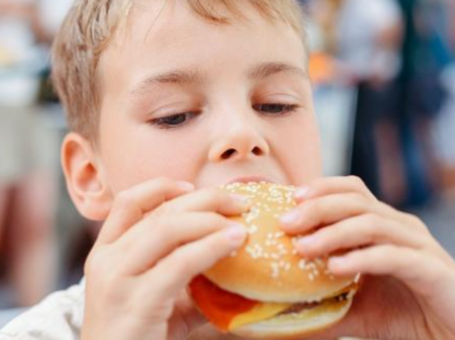 Comendo McDonald's