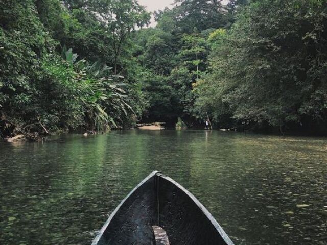 Amazonas