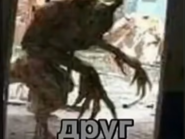 друг