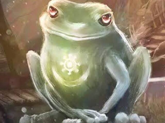 Sapo Místico 🐸🔮✨