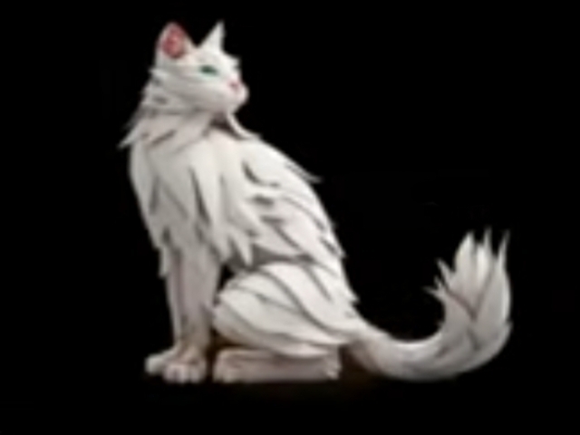 White cat