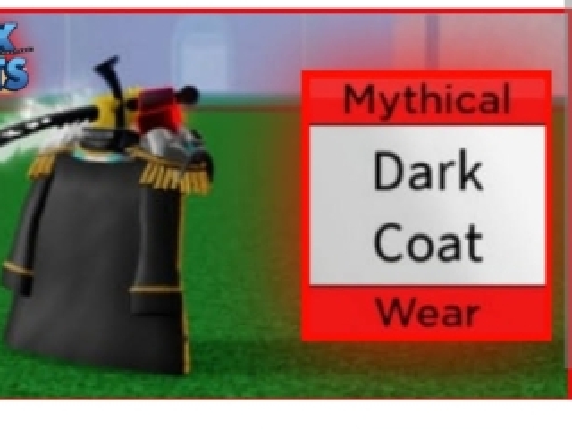 Dark coat