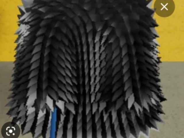 Black spikey coat