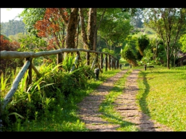 Campo