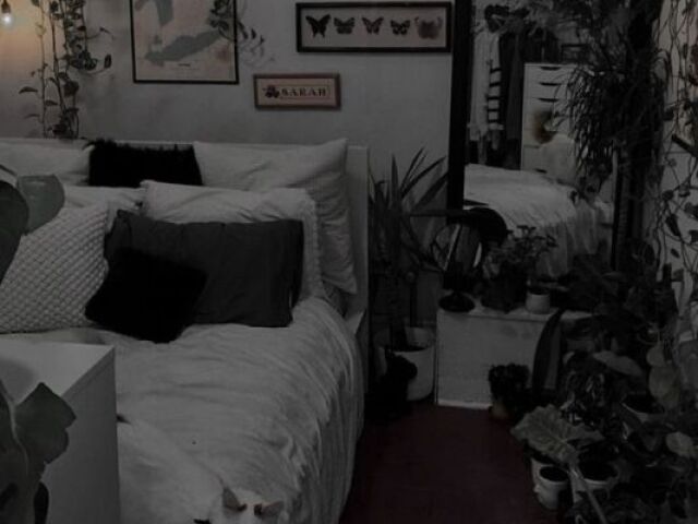 ✦﹒Quarto dark!⺡