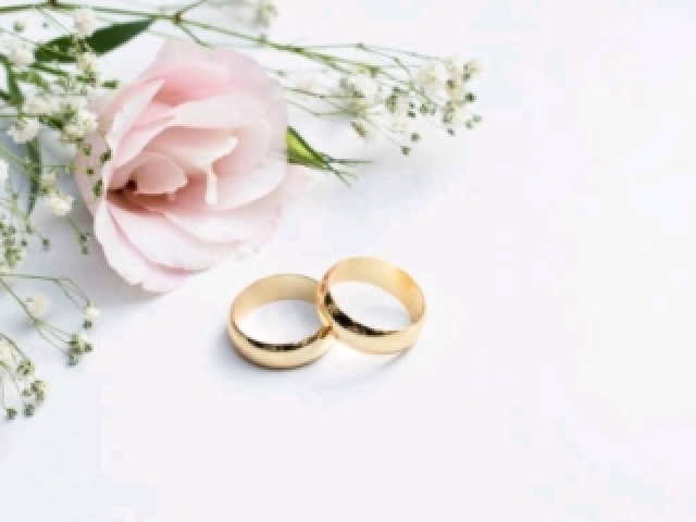 Crie o seu Casamento dos Sonhos