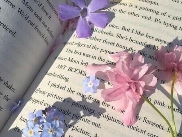 Crie seu livro!