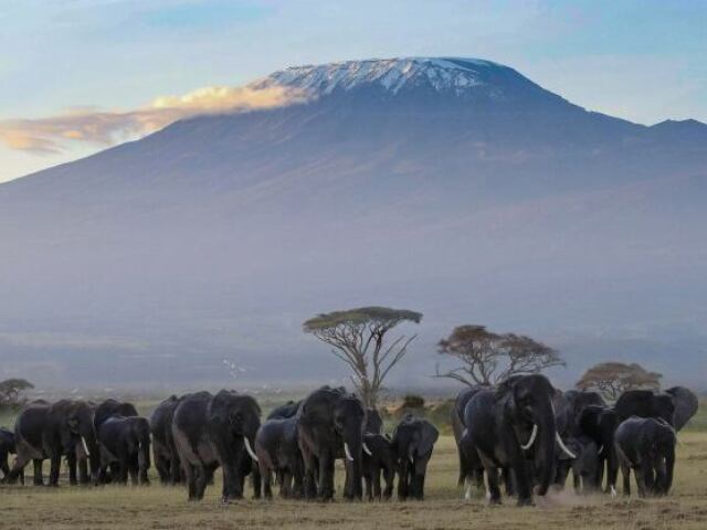 Monte Kilimanjaro