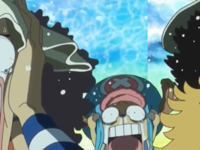 Chopper,Brook e Ussop