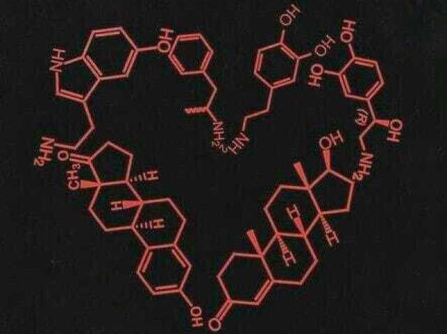 Descubra a sua linguagem do amor