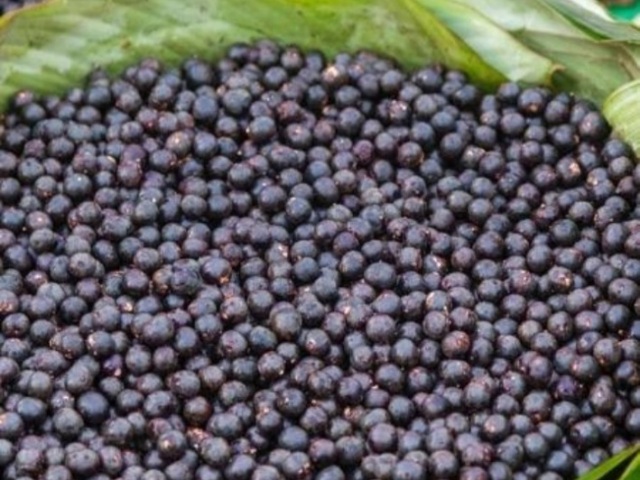 Açaí