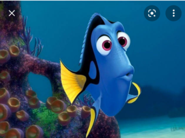 Dory