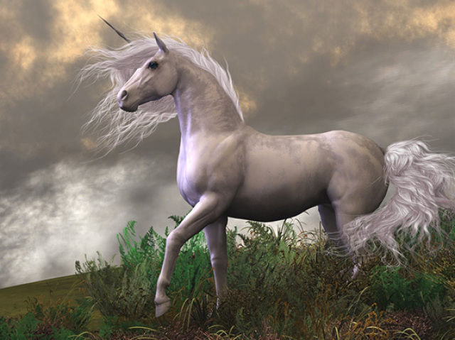 Unicórnio