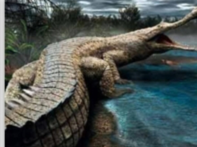 Sarcosuchus