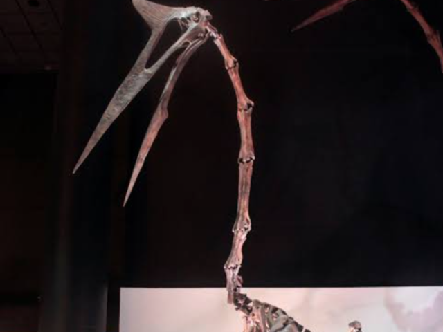 Quetzalcoatlus