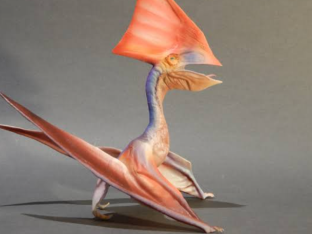 Pteranodonte