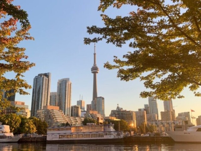 Ir para o Canadá e criar uma impresa