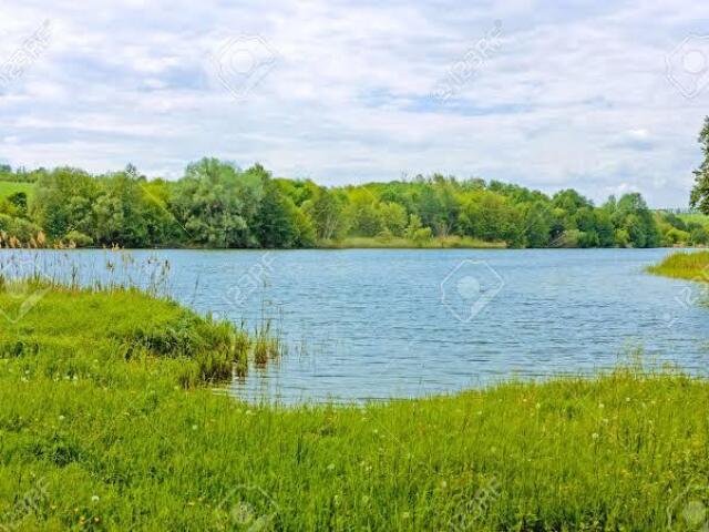 Lago🏞️