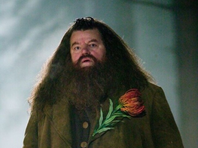 Hagrid